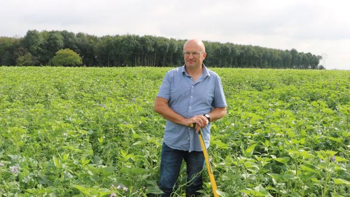 D Veloppement Des Pommes De Terre En Agriculture De R G N Ration