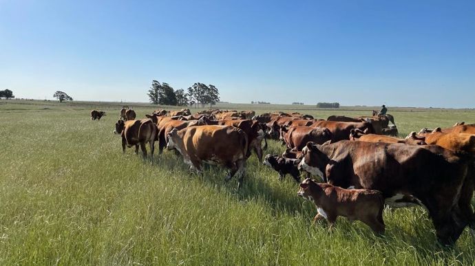 Le Brésil une puissance agricole scrutée