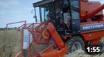 Space 2011 - Maïs ensilage