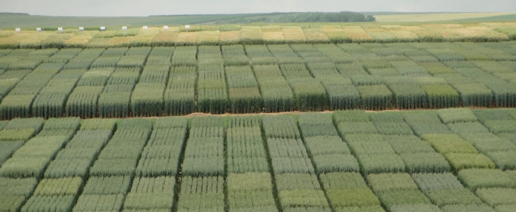 Essai Terre à Terre 2011 – Boîtier multifonction Isa360 Julien Bajeux : « 4.000 ha à pulvériser, une optimisation des plannings et du suivi parcellaire s’impose ! »