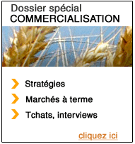 COmmercialisation 2012