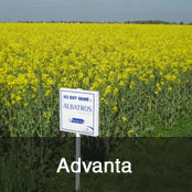 Advanta