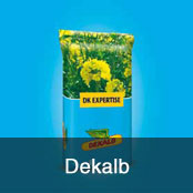 Dekalb