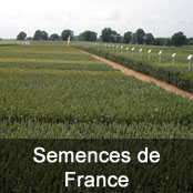Semences de France