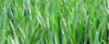 Culture du blé tendre et choix variétal - Arvalis-Institut du végétal a caractérisé huit grands types d'environnements en France