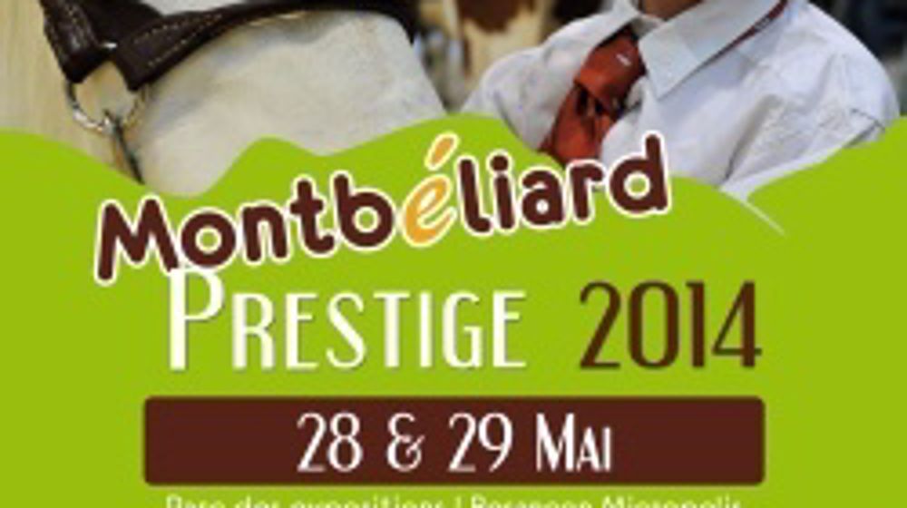 Près de 200 Montbéliardes attendues à Besançon les 28 et 29 mai Près de 200 Montbéliardes attendues à Besançon les 28 et 29 mai