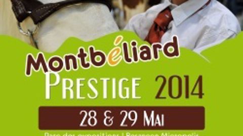 Près de 200 Montbéliardes attendues à Besançon les 28 et 29 mai Près de 200 Montbéliardes attendues à Besançon les 28 et 29 mai