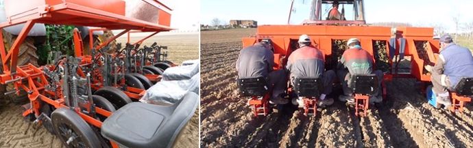 Planteuse semi-automatique pour les producteurs de semences de betteravesP