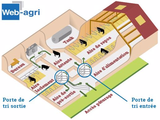 Plan schématique de la stabulation de la ferme de Derval.