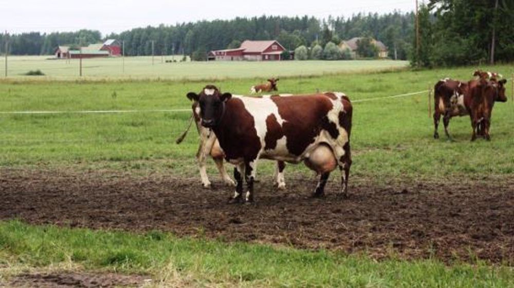 Coopératives laitières : des éleveurs à la barre Coopératives laitières : des éleveurs à la barre
