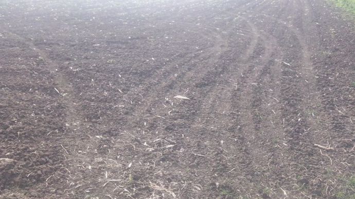 Parcelle dégradée par des traces d'un rodéo sauvage