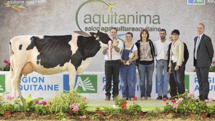 Emeraude Aquitanima 2014