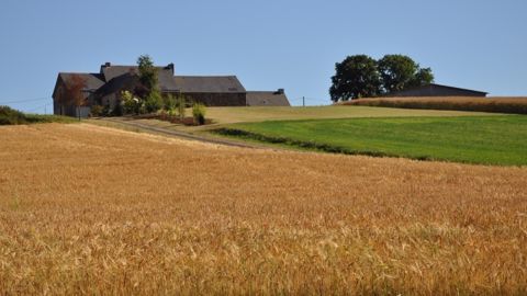 A 5.750 €/ha, la hausse du prix des terres reprend de plus belle A 5.750 €/ha, la hausse du prix des terres reprend de plus belle