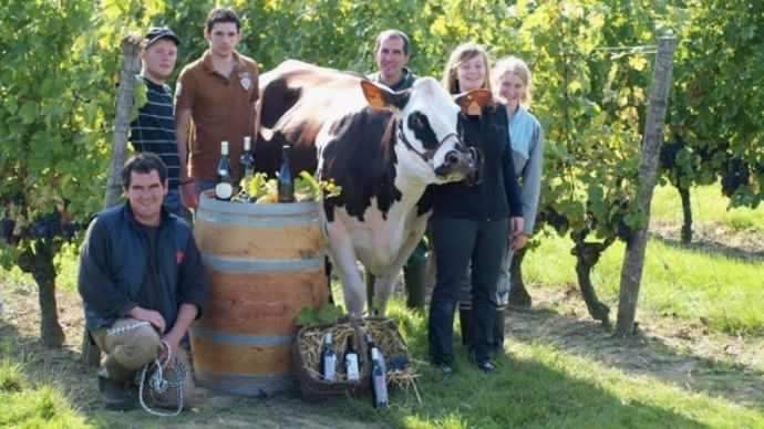 Vente PMS Normande
