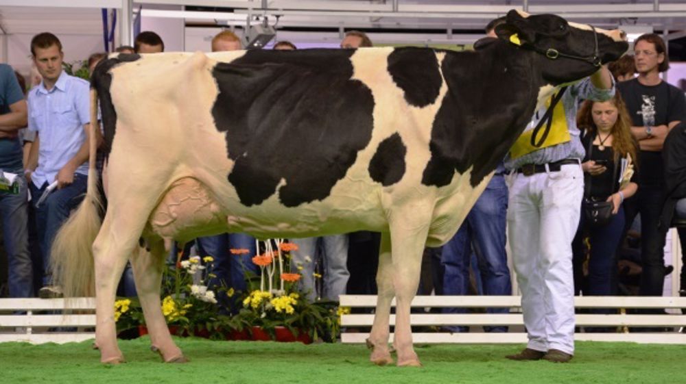 Rendez-vous à Fougères ce week-end !