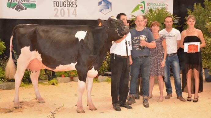 Ds Glass (Sid Pine x Goldwyn) – De Saint Jan Hubert, elevage Al.Be.Ro Holstein (35)