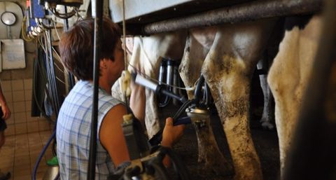 La France n'a pas réalisé son quota en 2013/2014