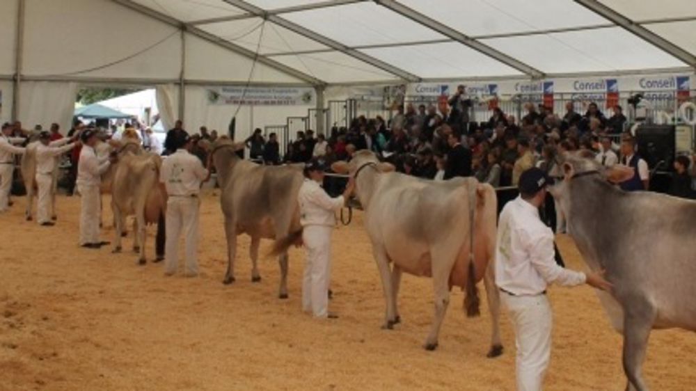 Programme complet des journées Châtillonnaises