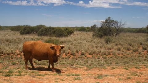 Agriculture biologique : la machine est en route