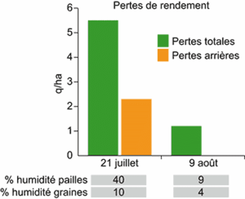 Pertes de rendement liées à des pailles et des graines trop humides.
