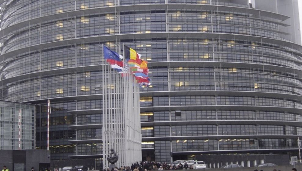 Cinq députés français à la commission Agriculture et développement rural
