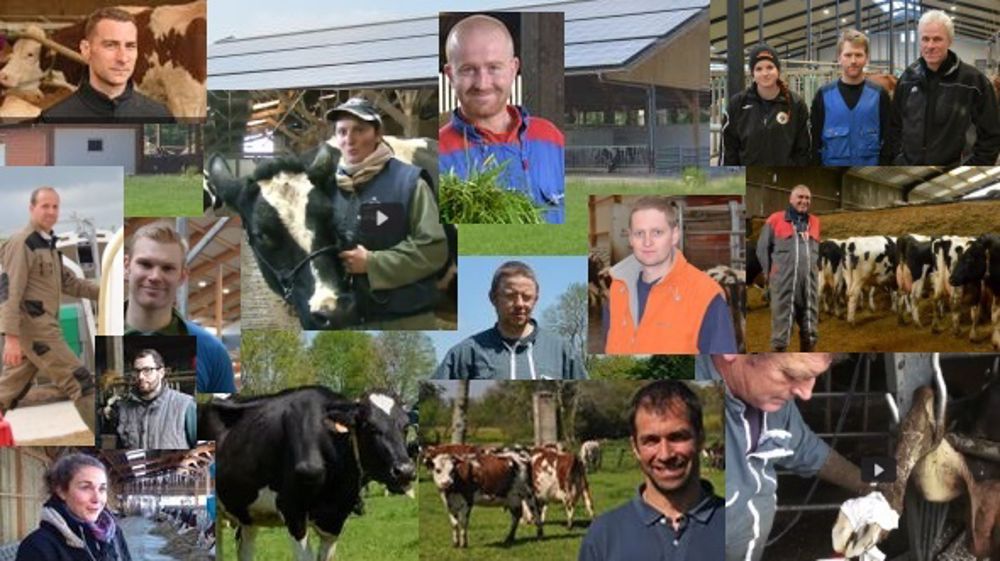 Les articles et vidéos les plus vus cette année