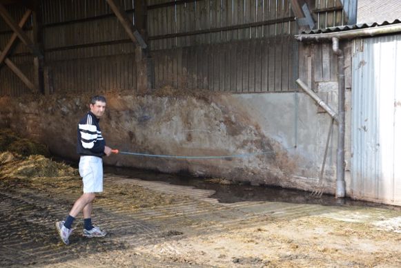 L’élastique est fixé le long de la charpente de la fumière couverte, afin les vaches n’y aillent pas lorsqu’elles sortent du bâtiment.