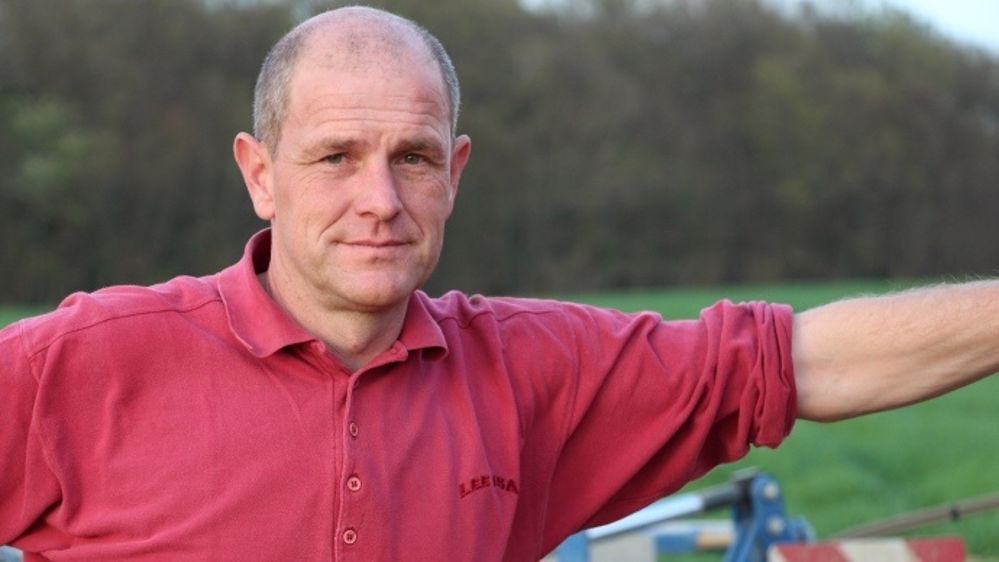 Colzas et blés germés, trois agriculteurs témoignent