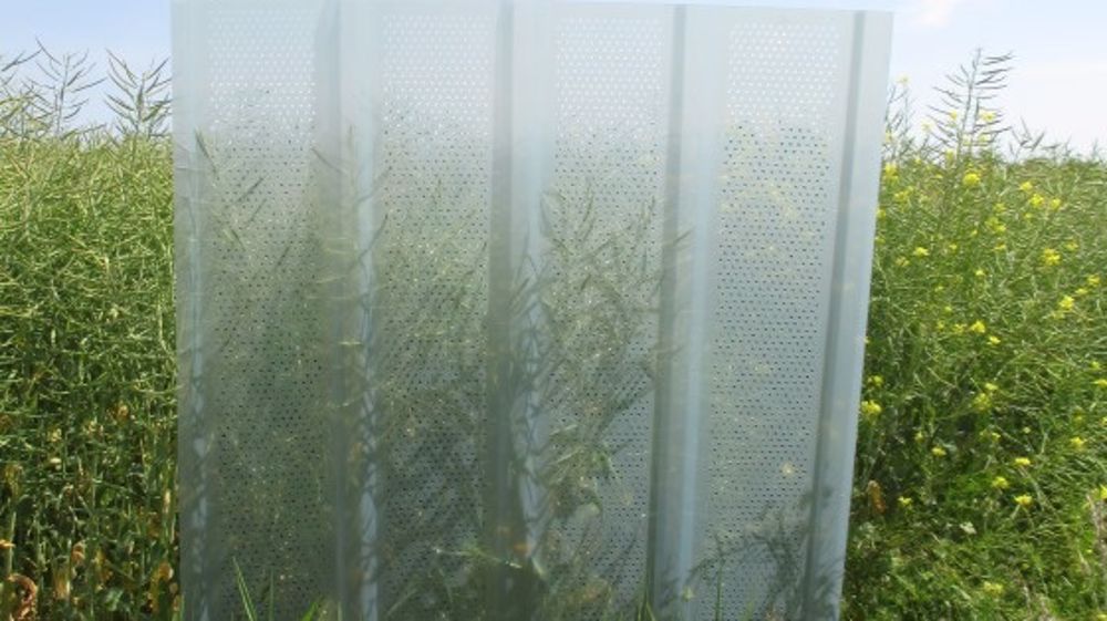 Renolit Ondex propose un brise-vent rigide translucide