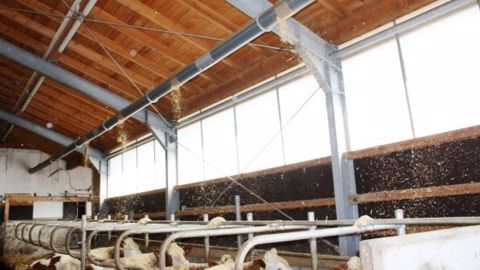 Schauer Agrotronic, un système de paillage 100 % automatique