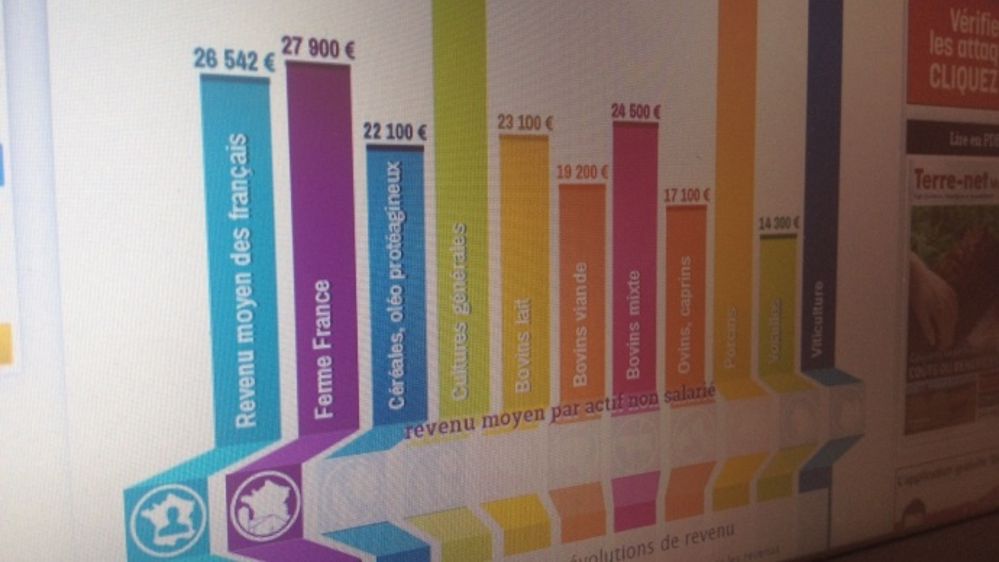 « De grosses difficultés en perspective pour les céréaliers », selon la CR