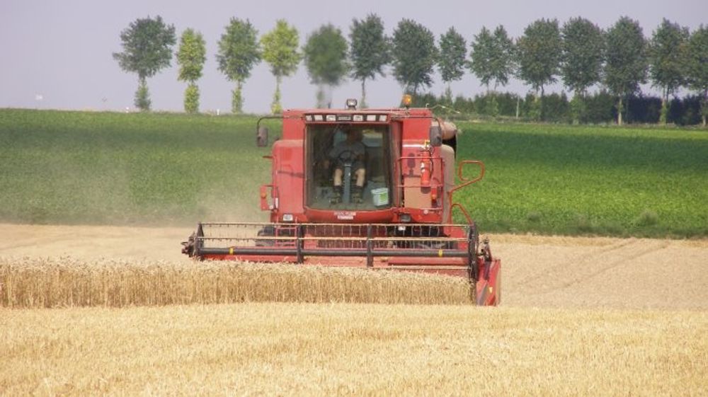 La qualité des blés de printemps américains en question