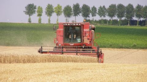 La qualité des blés de printemps américains en question