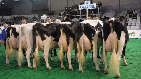 Le programme des concours et présentations animales (Maj avec catalogue animaux)