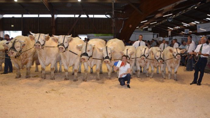 Le prix d'ensemble des élevages de 70 à 130 vêlages revient au Gaec Clame & Aubouard de l'Allier.