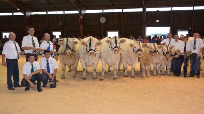 L'Earl Levron Vincent de Vendée gagne le prix d'ensemble des élevages de moins de 70 vaches.