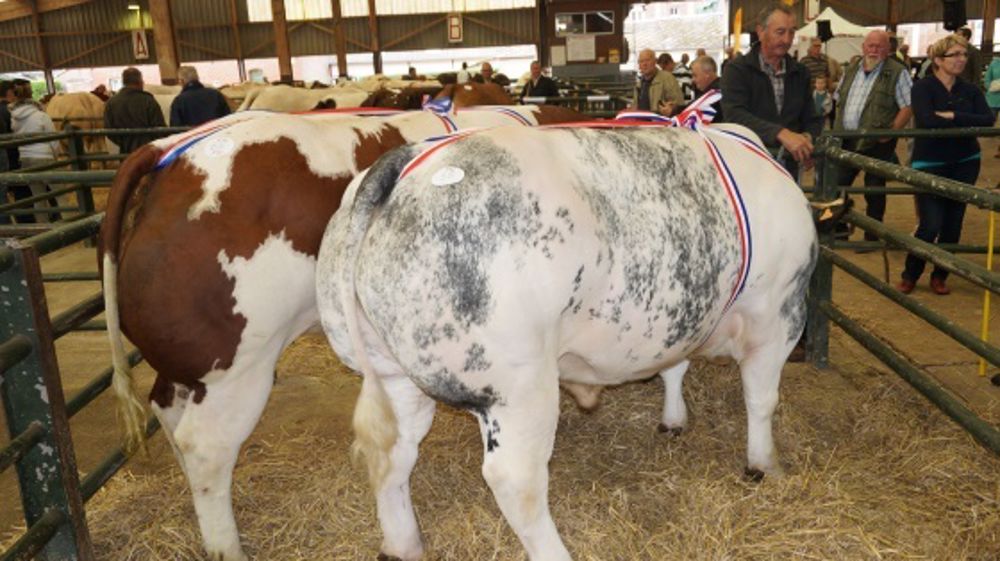 A Forges-les-Eaux - La qualité est au rendez-vous