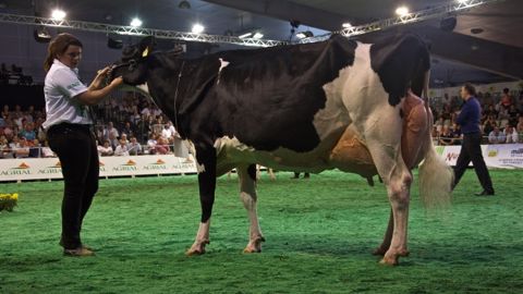 Tous les palmarès des concours bovins (Maj vidéos)