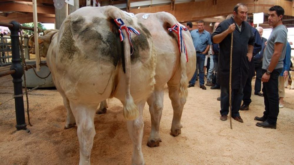 A Saint-Christophe : un bon cru