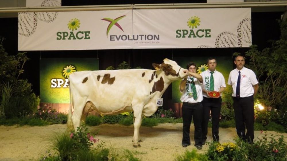 Elodee, grande championne et meilleure mamelle