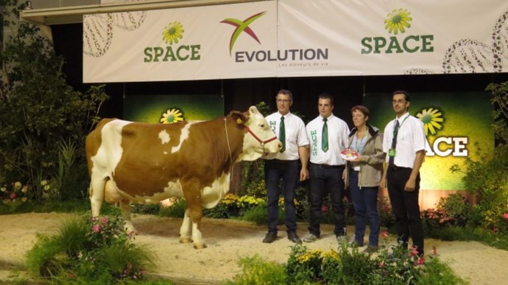 Alcaline s'impose comme grande championne Alcaline s'impose comme grande championne
