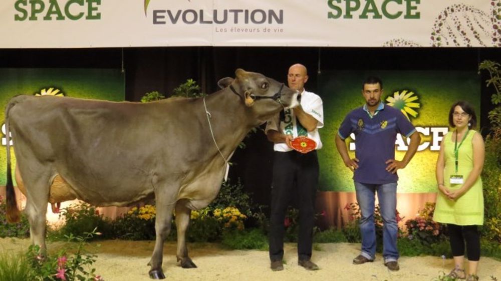 Eprise au Gaec de la Saudraie (22) a séduit le juge et devient grande championne Eprise au Gaec de la Saudraie (22) a séduit le juge et devient grande championne