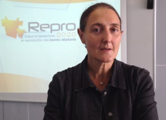 Sylvie Chastant, école vétérinaire de Toulouse