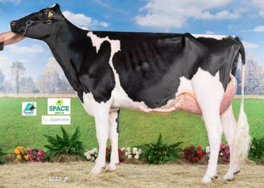 Lauria (Detox x Laramee) - Championne Jeune - Réserve Grande Championne - Meilleure Mamelle Jeune – A Scl Dijs et Gaec Morel (14)