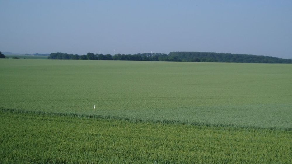 Les conditions climatiques sèches persistent dans les grandes plaines