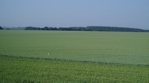 Les conditions climatiques sèches persistent dans les grandes plaines