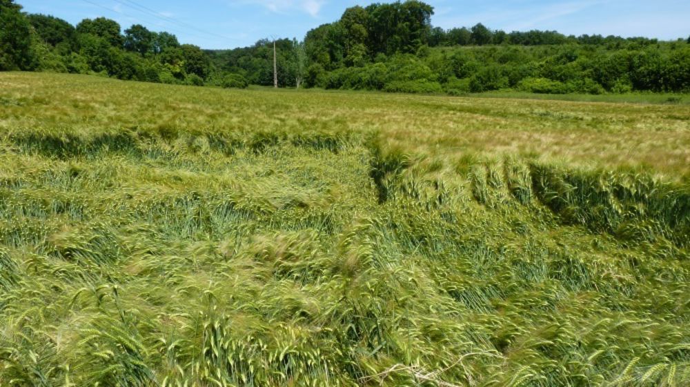 La gestion des risques agricoles désormais enseignée aux étudiants
