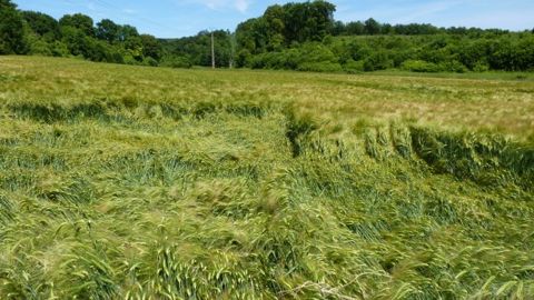 La gestion des risques agricoles désormais enseignée aux étudiants