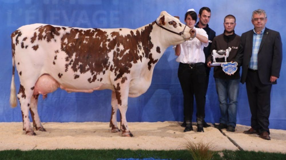 Femina au Gaec Piou Toublanc (49) est la grande championne