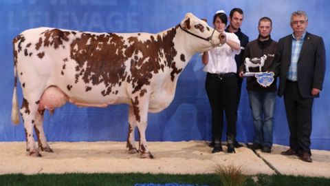 Femina au Gaec Piou Toublanc (49) est la grande championne